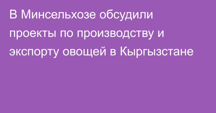 В Минсельхозе обсудили проекты по производству и экспорту овощей в Кыргызстане