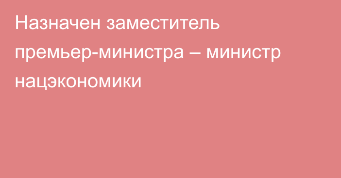 Назначен заместитель премьер-министра – министр нацэкономики