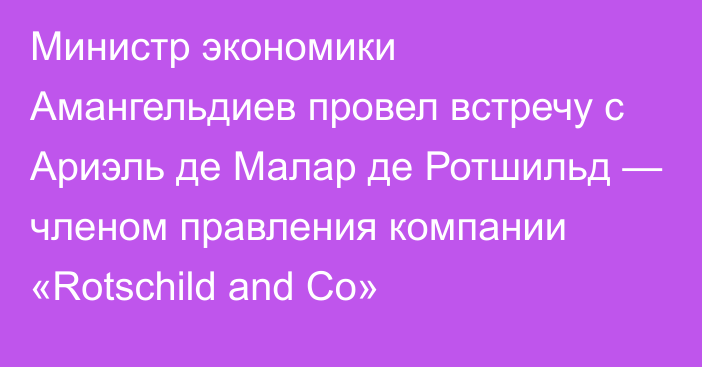 Министр экономики Амангельдиев провел встречу с Ариэль де Малар де Ротшильд — членом правления компании «Rotschild and Co»