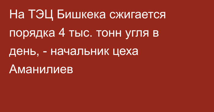 На ТЭЦ Бишкека сжигается порядка 4 тыс. тонн угля в день, - начальник цеха Аманилиев