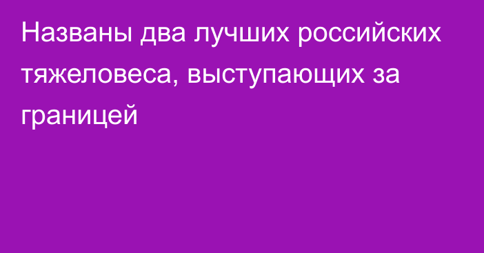 Названы два лучших российских тяжеловеса, выступающих за границей