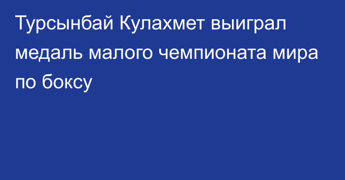 Турсынбай Кулахмет выиграл медаль малого чемпионата мира по боксу