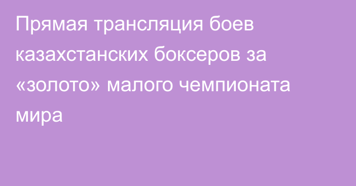 Прямая трансляция боев казахстанских боксеров за «золото» малого чемпионата мира