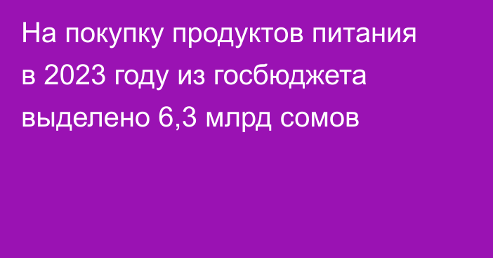 На покупку продуктов питания в 2023 году из госбюджета выделено 6,3 млрд сомов