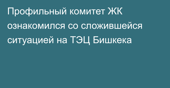 Профильный комитет ЖК ознакомился со сложившейся ситуацией на ТЭЦ Бишкека