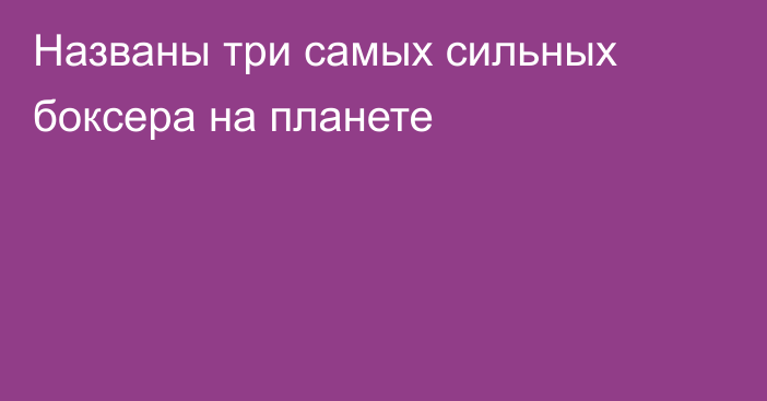 Названы три самых сильных боксера на планете