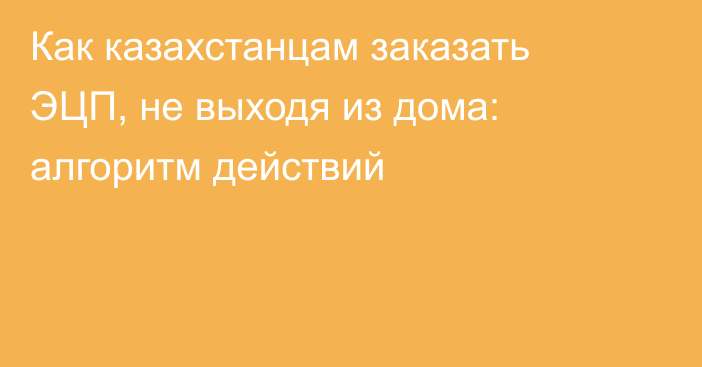 Как казахстанцам заказать ЭЦП, не выходя из дома: алгоритм действий