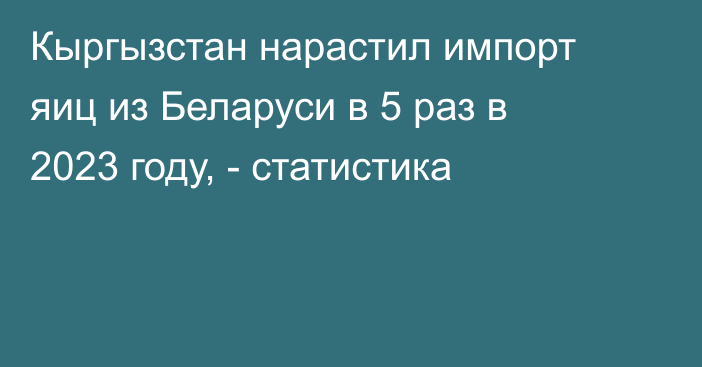 Кыргызстан нарастил импорт яиц из Беларуси в 5 раз в 2023 году, - статистика