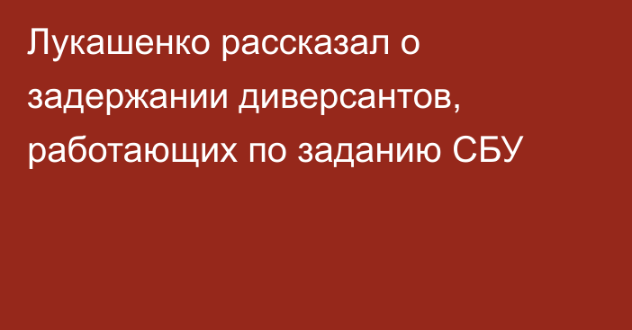 Лукашенко рассказал о задержании диверсантов, работающих по заданию СБУ