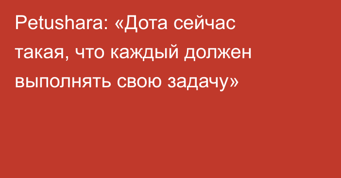 Petushara: «Дота сейчас такая, что каждый должен выполнять свою задачу»