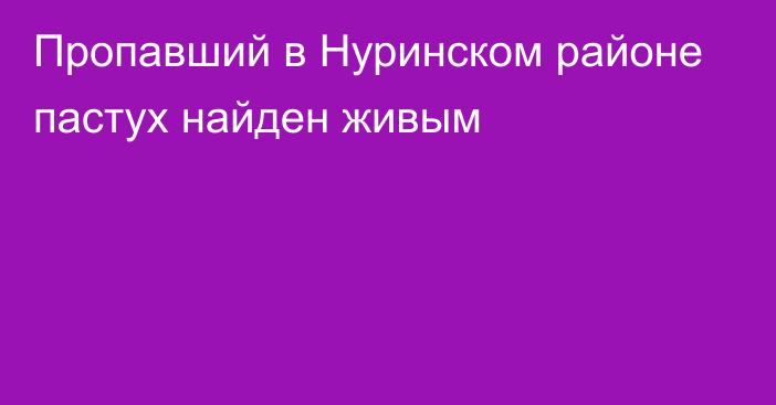 Пропавший в Нуринском районе пастух найден живым