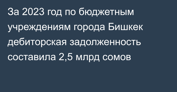 За 2023 год по бюджетным учреждениям города Бишкек дебиторская задолженность составила 2,5 млрд сомов