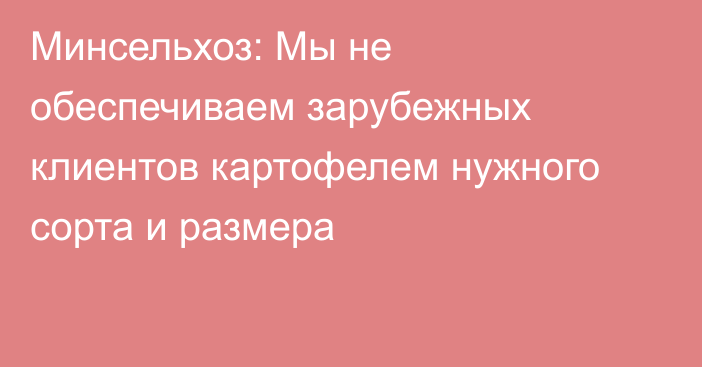 Минсельхоз: Мы не обеспечиваем зарубежных клиентов картофелем нужного сорта и размера