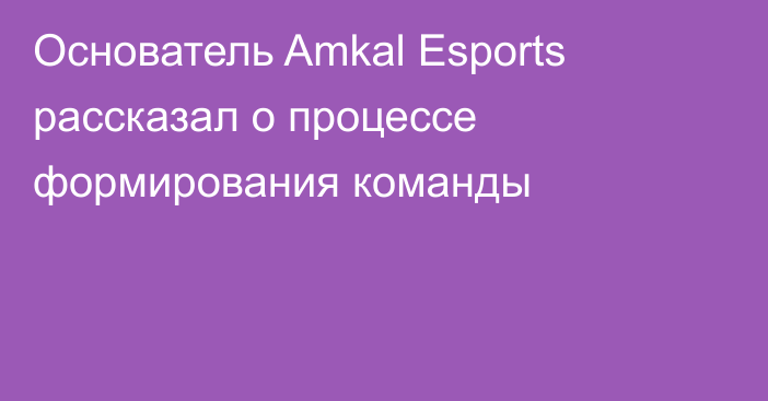 Основатель Amkal Esports рассказал о процессе формирования команды
