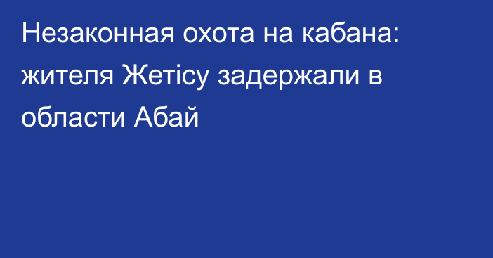 Незаконная охота на кабана: жителя Жетісу задержали в области Абай