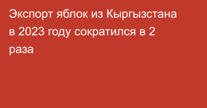 Экспорт яблок из Кыргызстана в 2023 году сократился в 2 раза