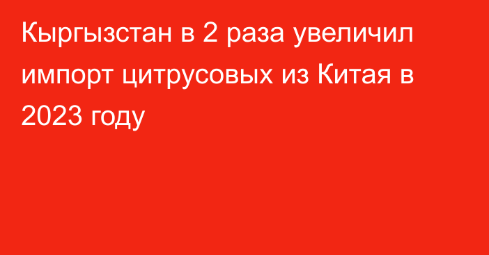 Кыргызстан в 2 раза увеличил импорт цитрусовых из Китая в 2023 году