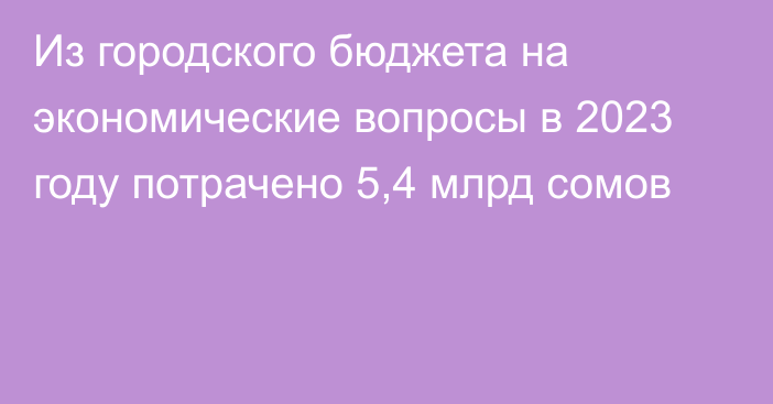 Из городского бюджета на экономические вопросы в 2023 году потрачено 5,4 млрд сомов