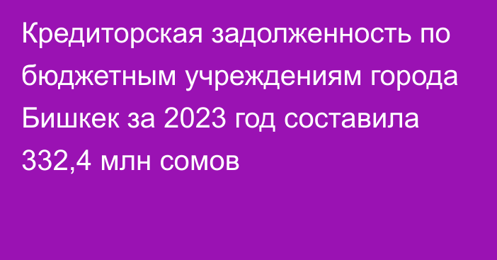 Кредиторская задолженность по бюджетным учреждениям города Бишкек за 2023 год составила 332,4 млн сомов