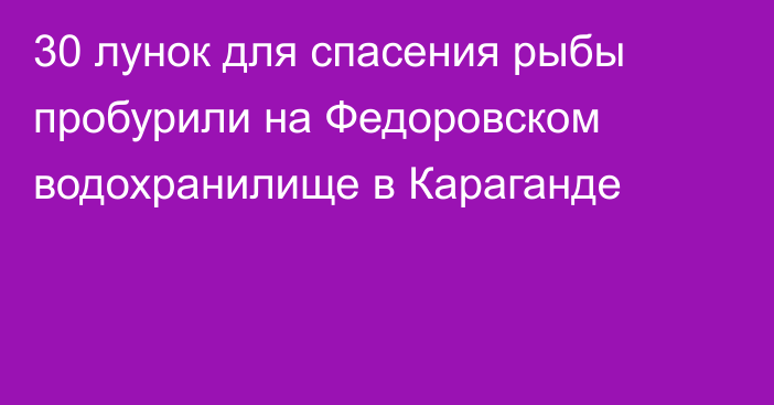 30 лунок для спасения рыбы пробурили на Федоровском водохранилище в Караганде