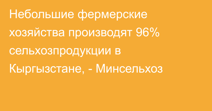 Небольшие фермерские хозяйства производят 96% сельхозпродукции в Кыргызстане, - Минсельхоз