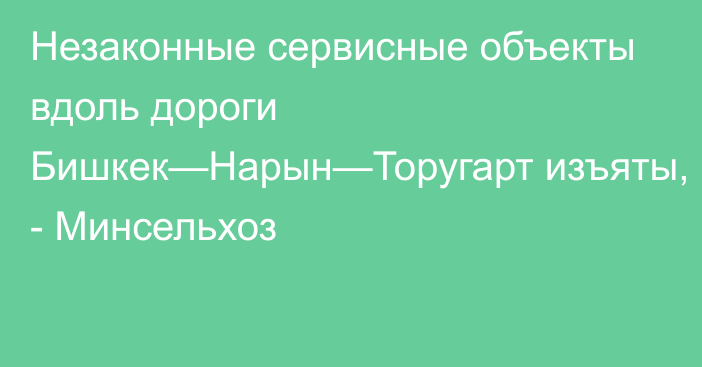 Незаконные сервисные объекты вдоль дороги Бишкек—Нарын—Торугарт изъяты, - Минсельхоз