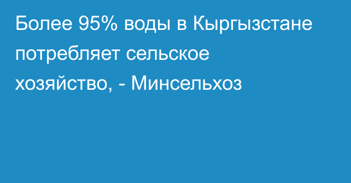 Более 95% воды в Кыргызстане потребляет сельское хозяйство, - Минсельхоз