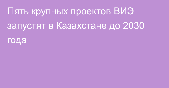 Пять крупных проектов ВИЭ запустят в Казахстане до 2030 года