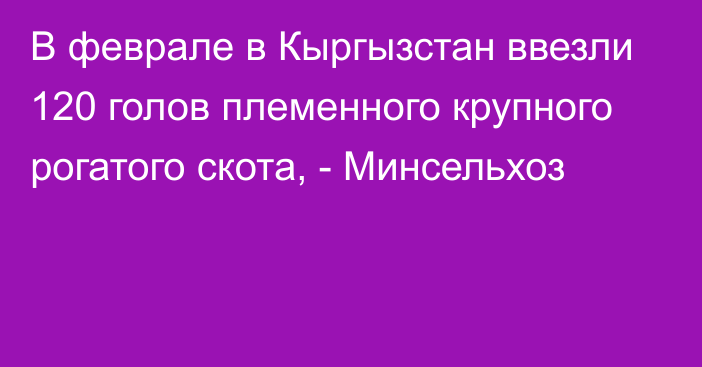 В феврале в Кыргызстан ввезли 120 голов племенного крупного рогатого скота, - Минсельхоз