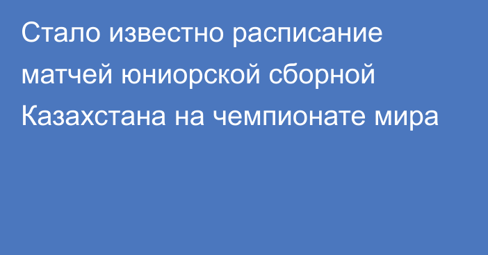 Стало известно расписание матчей юниорской сборной Казахстана на чемпионате мира