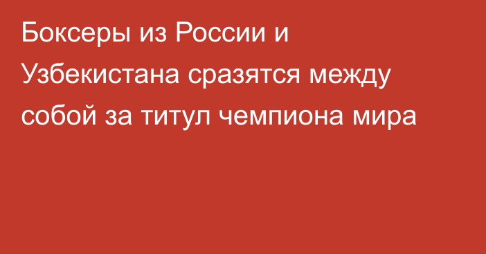 Боксеры из России и Узбекистана сразятся между собой за титул чемпиона мира