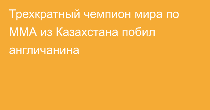 Трехкратный чемпион мира по ММА из Казахстана побил англичанина