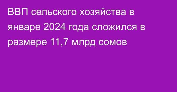 ВВП сельского хозяйства в январе 2024 года сложился в размере 11,7 млрд сомов