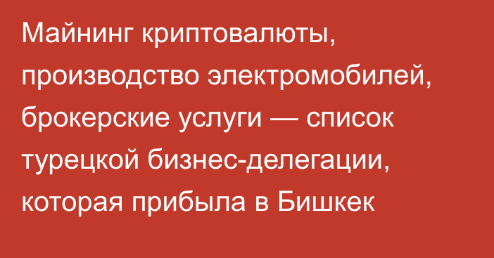 Майнинг криптовалюты, производство электромобилей, брокерские услуги — список турецкой бизнес-делегации, которая прибыла в Бишкек