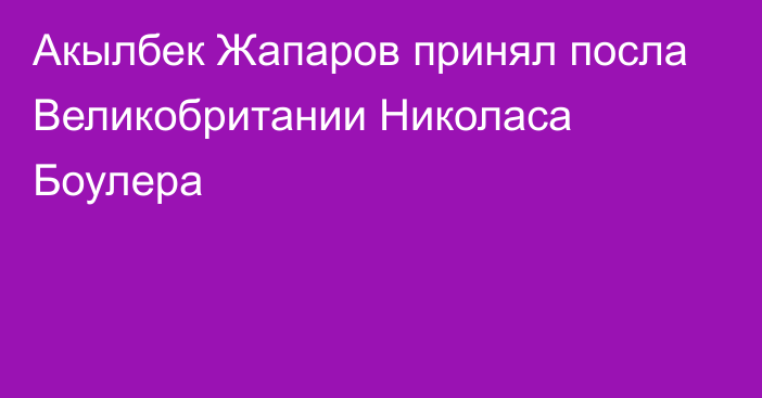 Акылбек Жапаров принял посла Великобритании Николаса Боулера