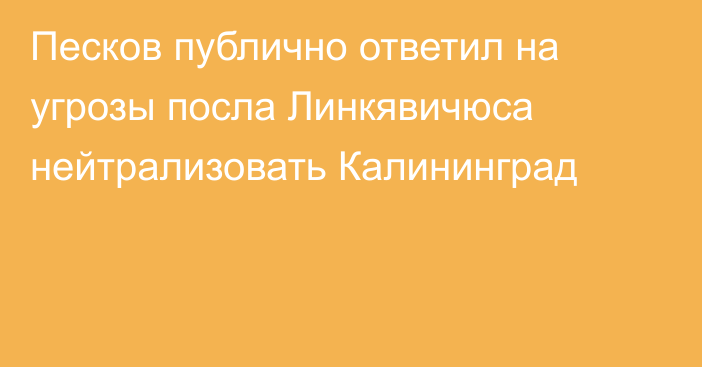 Песков публично ответил на угрозы посла Линкявичюса нейтрализовать Калининград