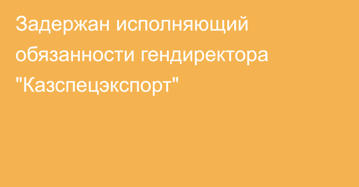 Задержан исполняющий обязанности гендиректора 