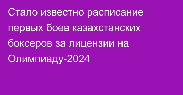 Стало известно расписание первых боев казахстанских боксеров за лицензии на Олимпиаду-2024