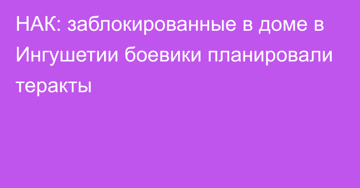 НАК: заблокированные в доме в Ингушетии боевики планировали теракты