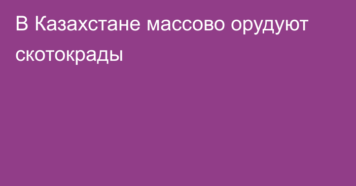 В Казахстане массово орудуют скотокрады