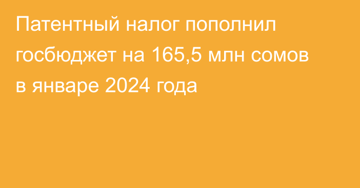 Патентный налог пополнил госбюджет на 165,5 млн сомов в январе 2024 года