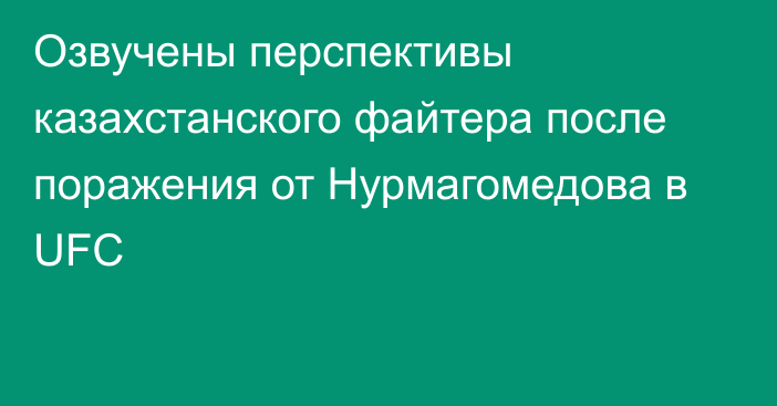 Озвучены перспективы казахстанского файтера после поражения от Нурмагомедова в UFC