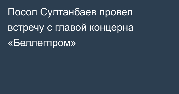 Посол Султанбаев провел встречу с главой концерна «Беллегпром»