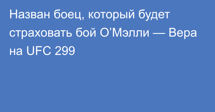 Назван боец, который будет страховать бой О’Мэлли — Вера на UFC 299