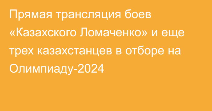 Прямая трансляция боев «Казахского Ломаченко» и еще трех казахстанцев в отборе на Олимпиаду-2024