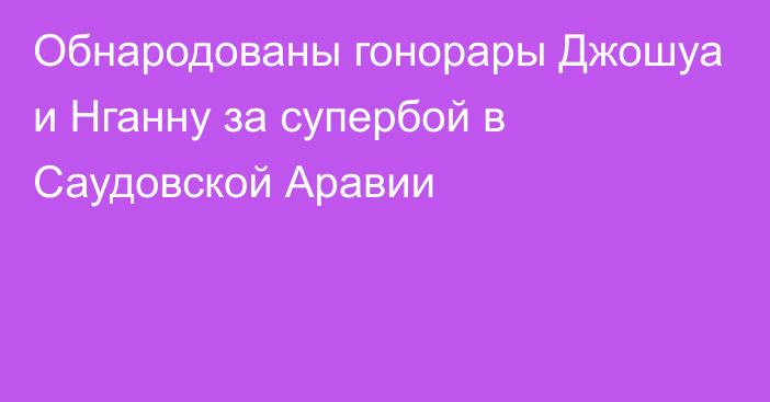 Обнародованы гонорары Джошуа и Нганну за супербой в Саудовской Аравии