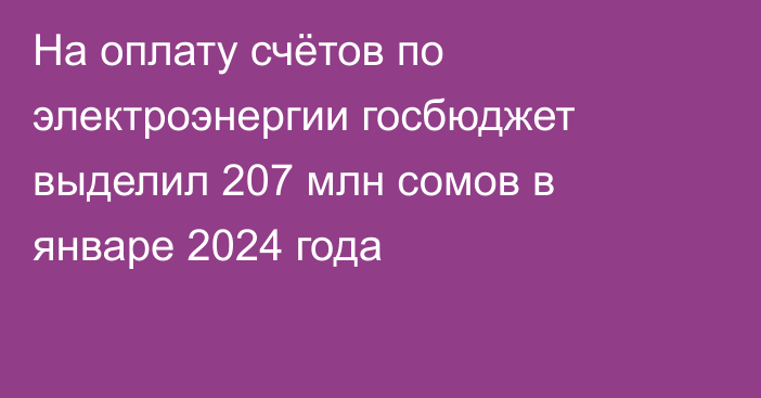 На оплату счётов по электроэнергии госбюджет выделил 207 млн сомов в январе 2024 года