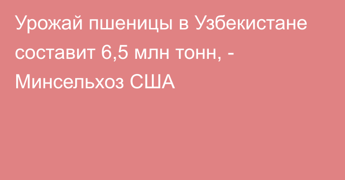 Урожай пшеницы в Узбекистане составит 6,5 млн тонн, - Минсельхоз США