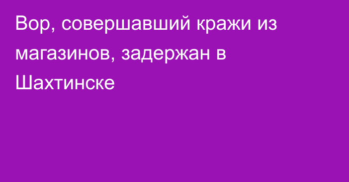 Вор, совершавший кражи из магазинов, задержан в Шахтинске