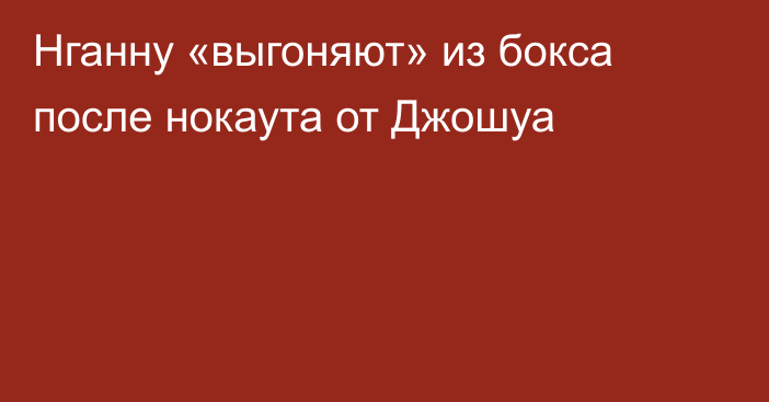 Нганну «выгоняют» из бокса после нокаута от Джошуа